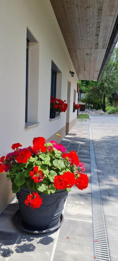 Bed and Breakfast Nona Bb Postojna Zewnętrze zdjęcie